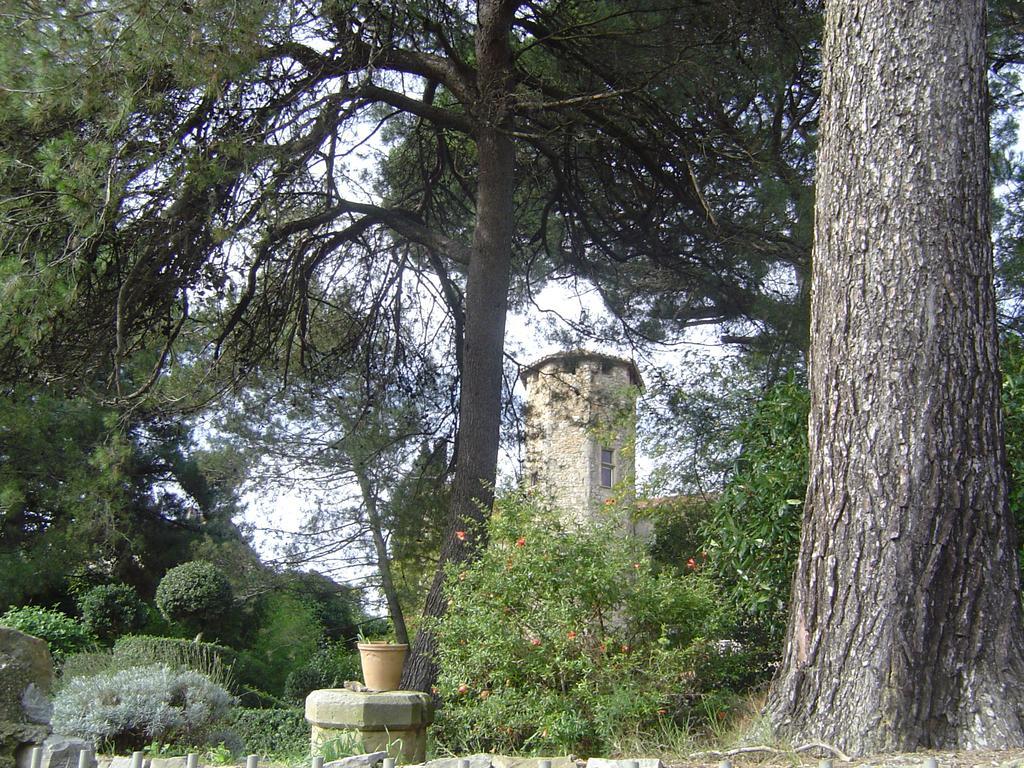 Chateau D'Agel Chambres D'Hotes מראה חיצוני תמונה