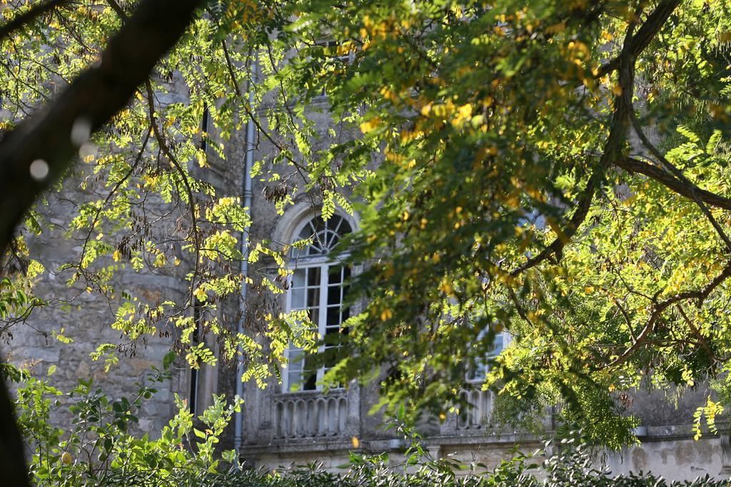 Chateau D'Agel Chambres D'Hotes מראה חיצוני תמונה